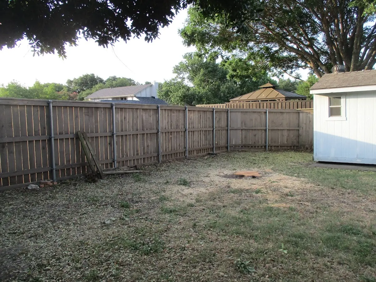 Cleared yard after professional tree removal in Amasa